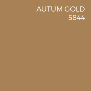 Autum Gold 5844 concrete wall color