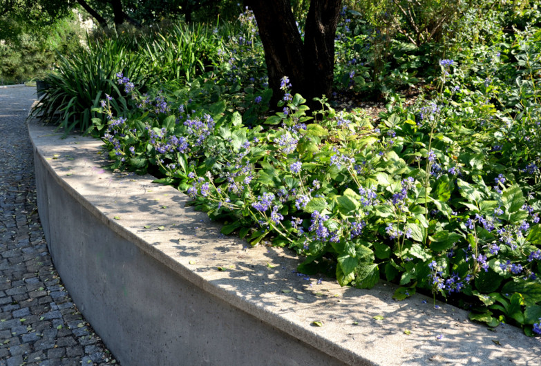 Precast concrete retaining wall surrounding the perimeter of a flower bed.